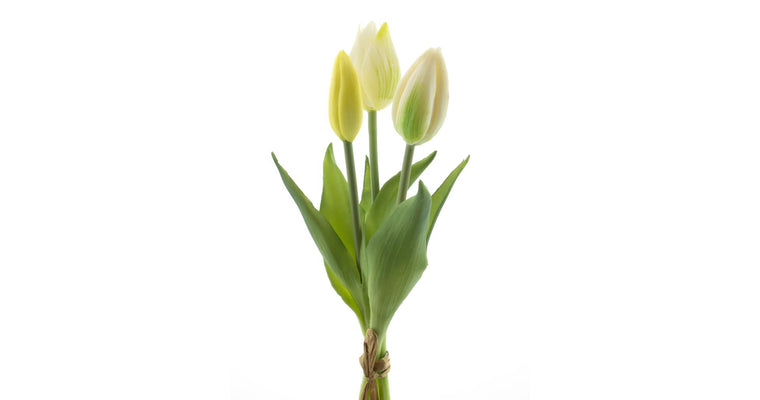 Real Touch Tulpen 3 stuks - cream