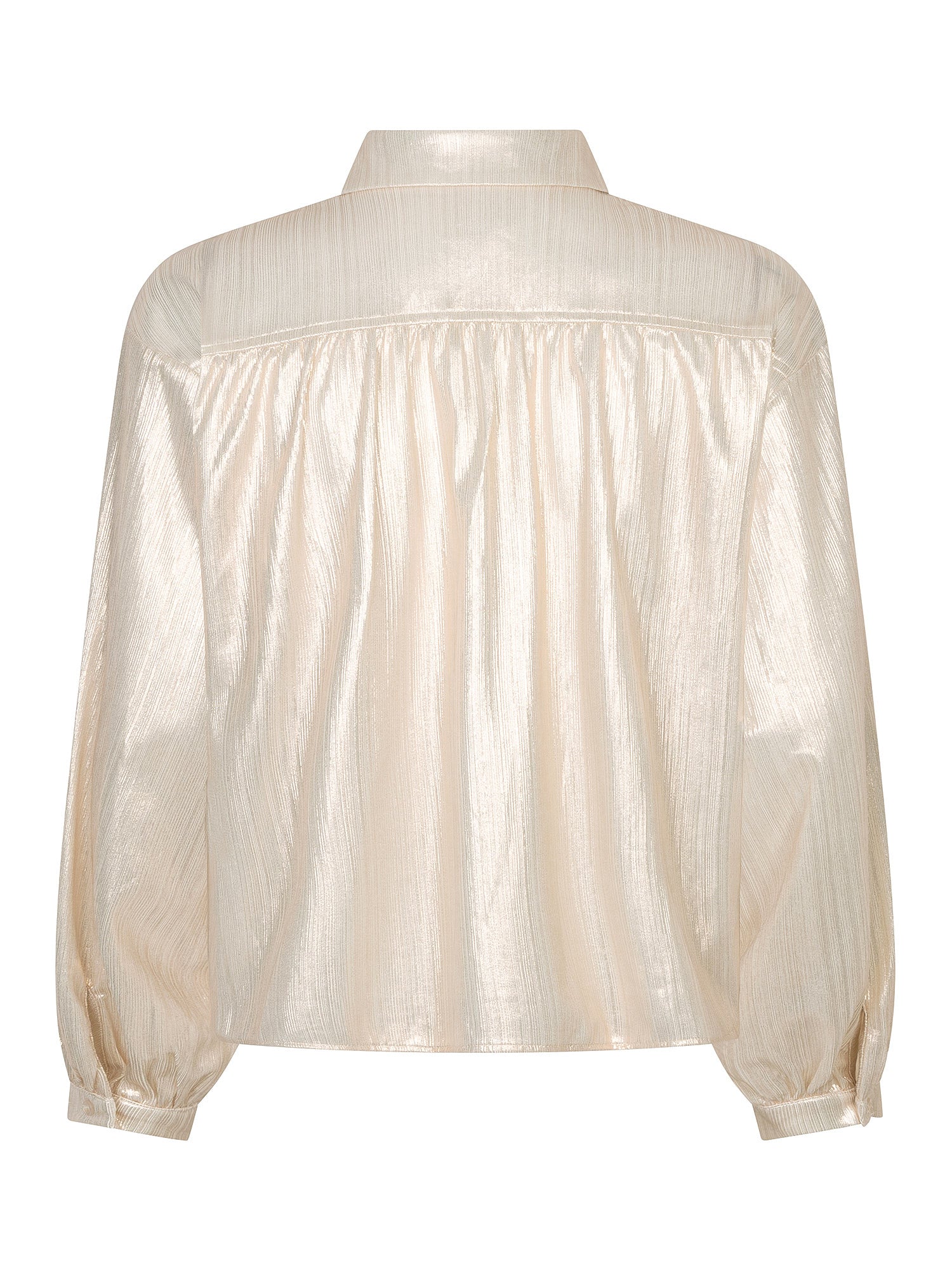 Ydence Blouse Narissa - champagne