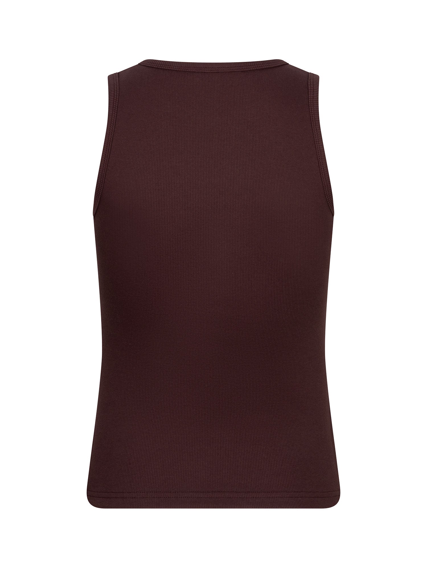 Top Sea Shells - brown