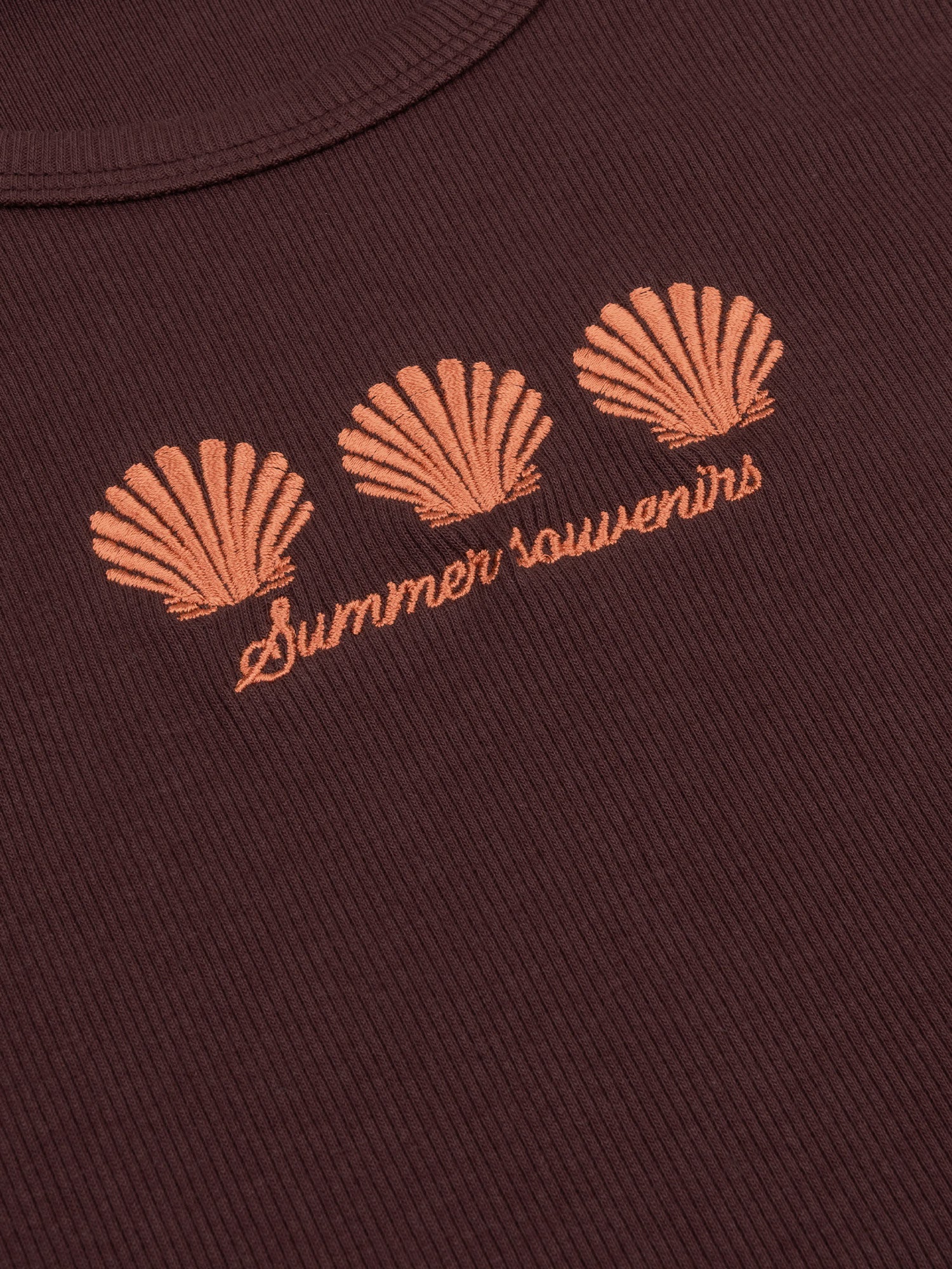 Top Sea Shells - brown