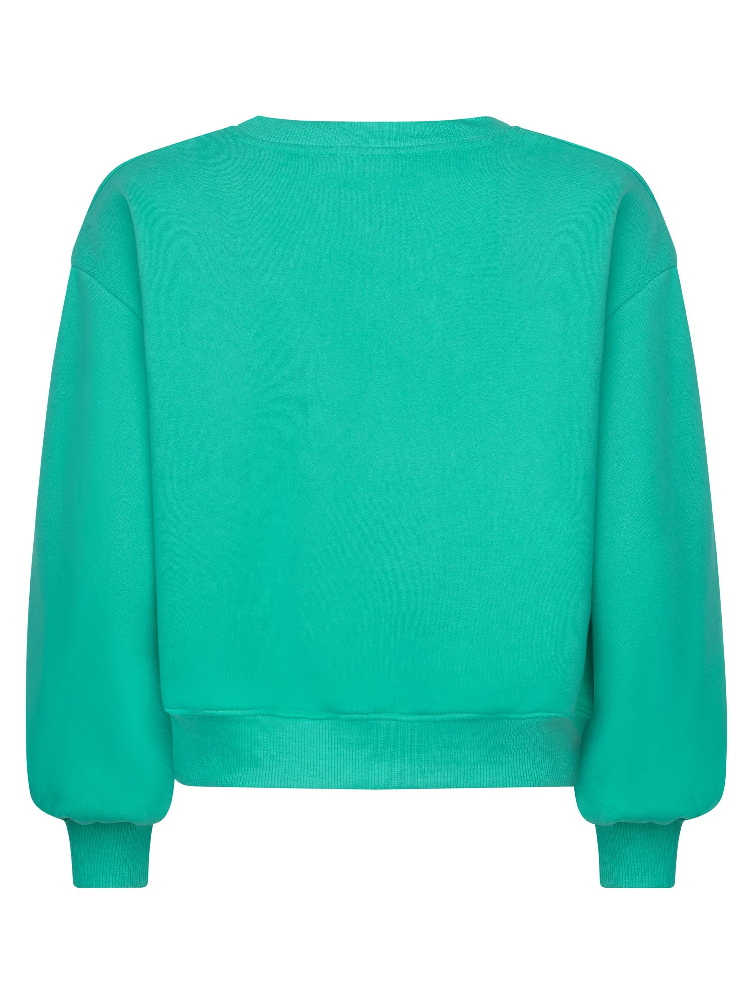 Sweater Tropical - sea green