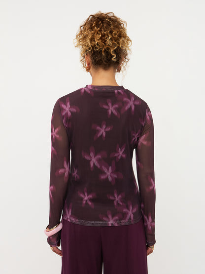 Top Willemijn - plum flower