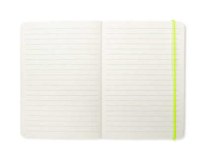 Notebook Note Of A Genius