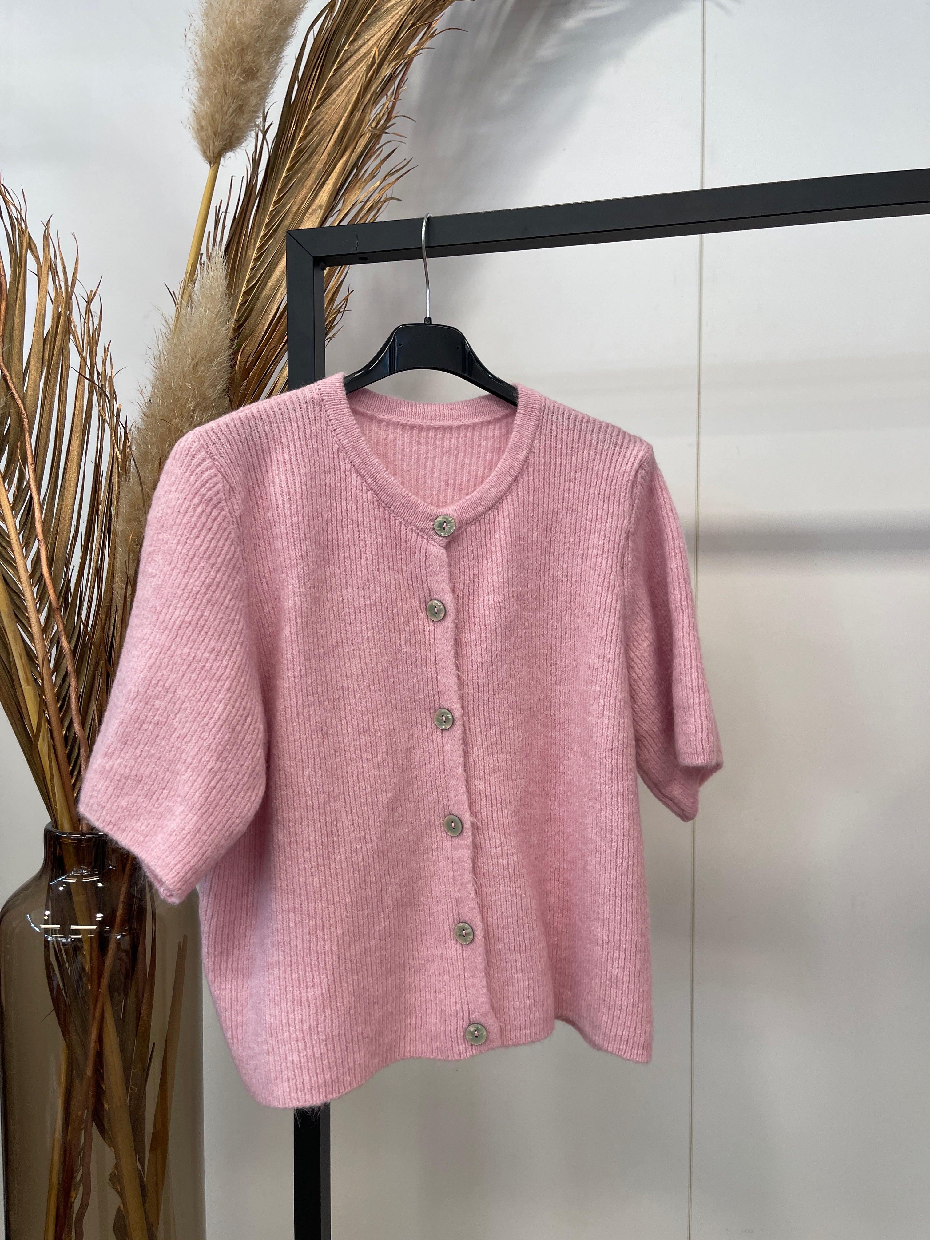 Vestje Pleun - lichtroze