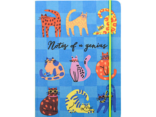 Notebook Note Of A Genius