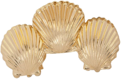 Golden Shell Hairclaw