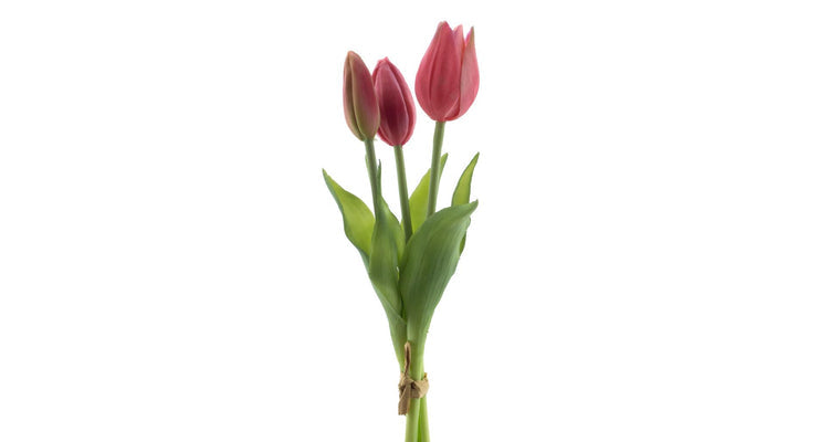 Real Touch Tulpen 3 stuks - beauty