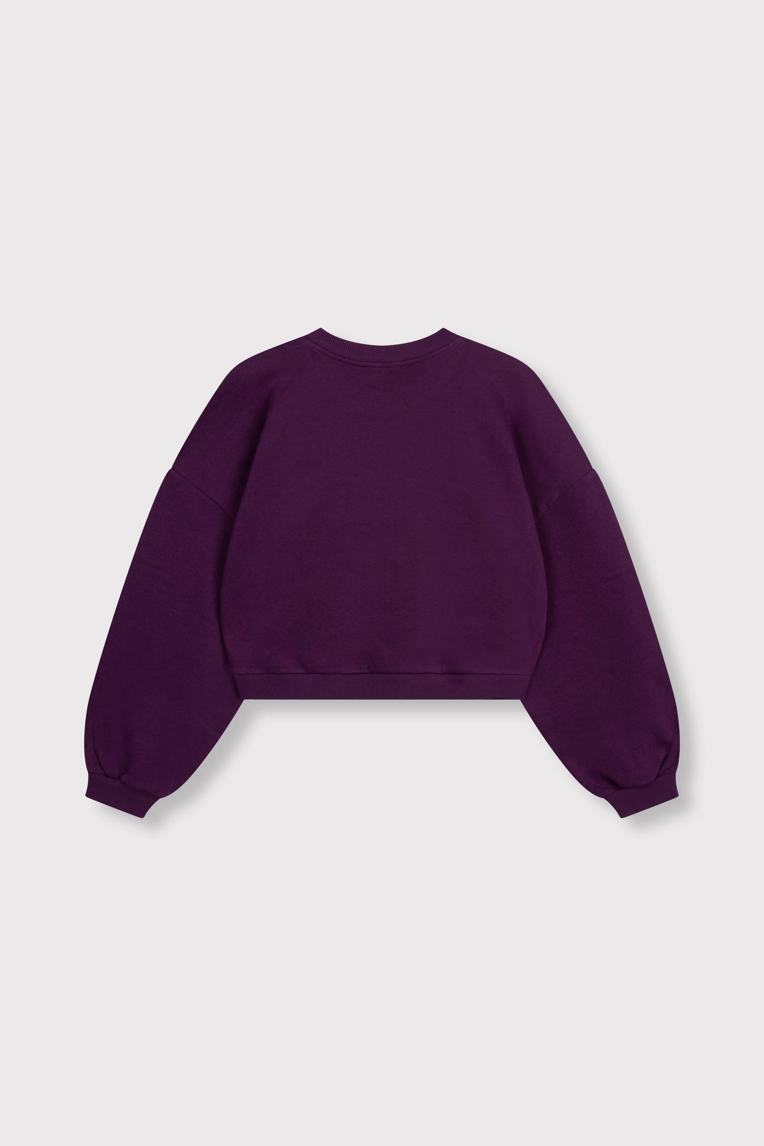 Sweater Feddy - plum
