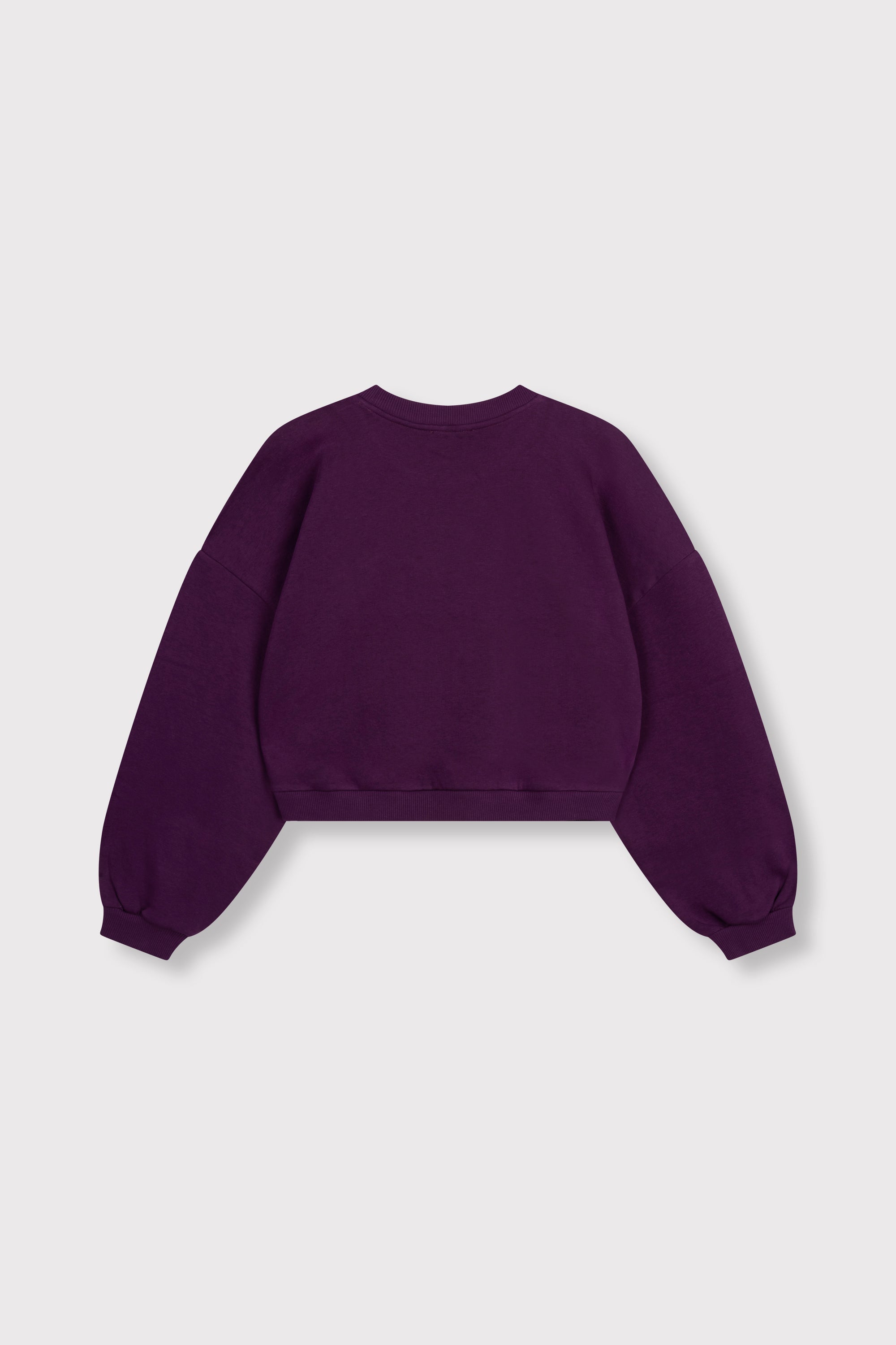 Sweater Feddy - plum